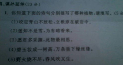 關(guān)于植物的詩句古詩大全,描寫秋天的詩句古詩大全,描寫山的詩句古詩大全