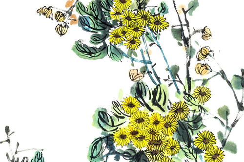 小學描寫菊花詩句古詩大全