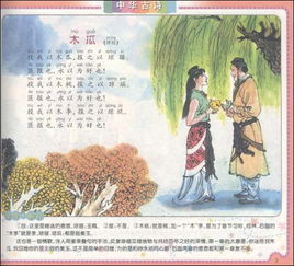 古詩(shī),句子,讀書