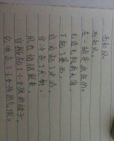 關(guān)于狂風(fēng)的詩句古詩大全