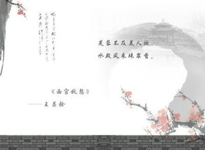 詩句,小花,贊美