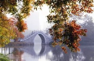 為故鄉(xiāng)而驕傲的古詩句