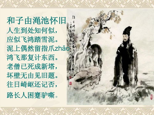 詩句,坎坷,人生