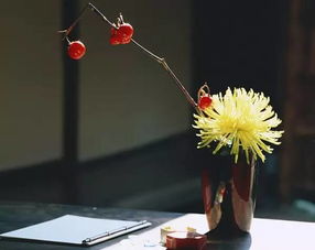 關(guān)于插花的詩(shī)句