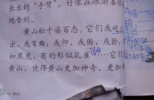 描寫黃山的古詩句有哪些,描寫黃山最有名古詩,黃山最有名的古詩句