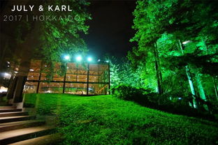 關(guān)于森林的浪漫詩句