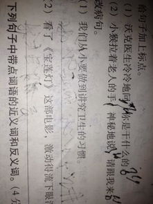 古詩里帶有桃子的詩句