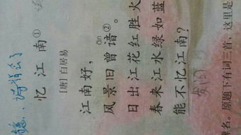 關(guān)于醬料的詩句