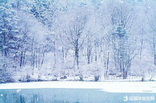 關(guān)于詠雪的詩(shī)句大全