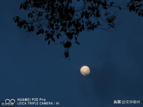 關(guān)于望月的詩句古詩詞