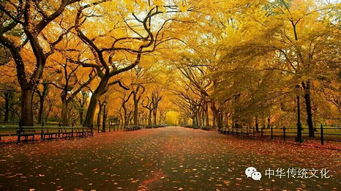 春夏秋冬,詩句,賞析