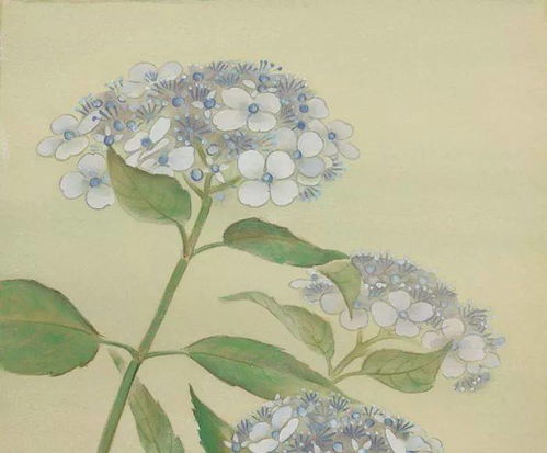 關(guān)于友情深的詩句