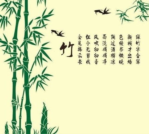 關(guān)于竹的詞語和詩句