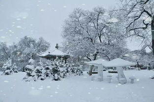 古詩描寫冬天的古詩句,有關(guān)冬天的古詩句,描述冬天的古詩名句