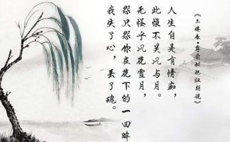 長城,詩句,描寫,贊美