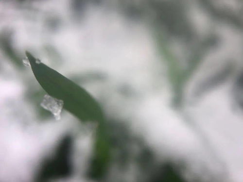 關(guān)于李白寫夸張的詩句