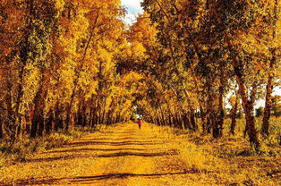 詩(shī)句,含凌字