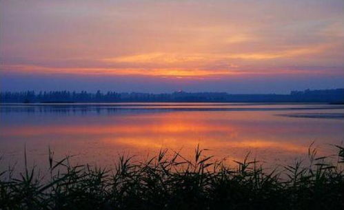 關(guān)于過節(jié)不能回家的詩句