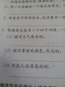 一句,詩(shī)句,描寫,詩(shī)中