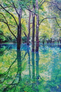 有關(guān)荔波的古詩句