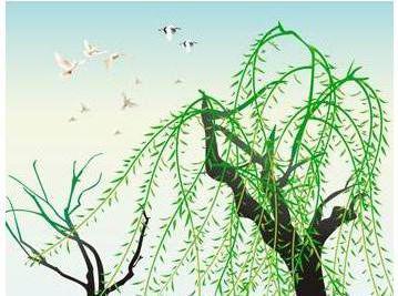 一句,古詩,詩句,描寫