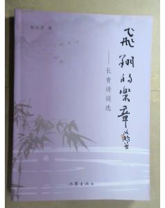 關于飛的經(jīng)典詩句