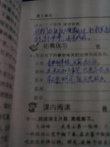 追求真理的古詩(shī)句