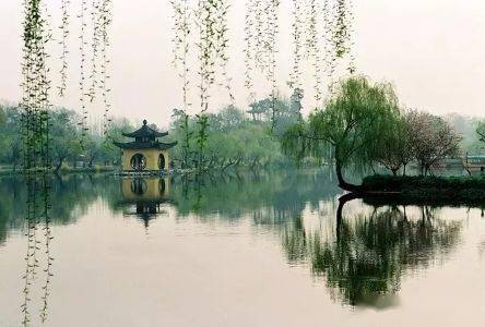 贊美酒香的古詩句一句