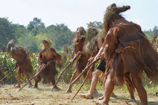 關于高粱豐收時的詩句