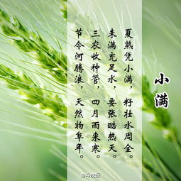 小滿古詩(shī)句