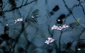 含有雨的古詩句