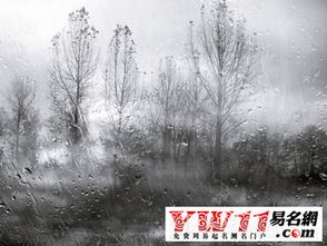 關(guān)于雨下的打大的詩句