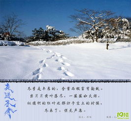 詩句,美圖,冬季