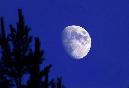 詩(shī)句,靈魂,美好