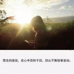 詩句,思念,幸福