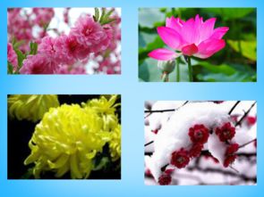 里帶,古詩,詩句,小學