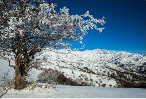 描繪暖陽(yáng)的古詩(shī)句