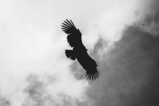 表達(dá)不辜負(fù)等待的古詩句