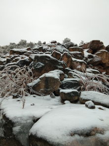 關(guān)于冬日賞雪詩(shī)句