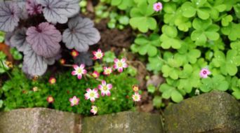 詩(shī)句,科學(xué)知識(shí),含有