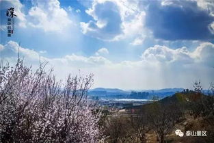 描泰山的古詩句