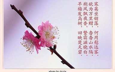 有關(guān)花兒的唯美古詩句