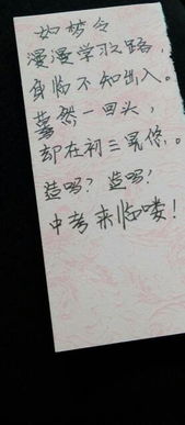 關(guān)于報(bào)復(fù)的自編詩(shī)句