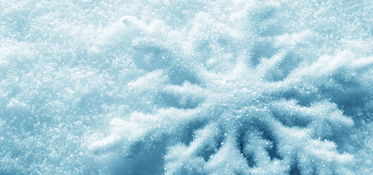 關于雪花在北風中的詩句