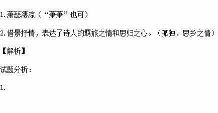 詩句,描寫,詩中,特征