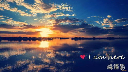 關于秋花開花謝的詩句