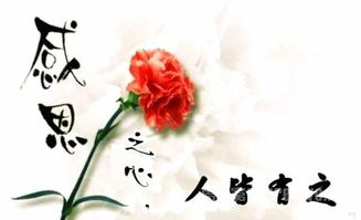 有關(guān)感恩的成語古詩句