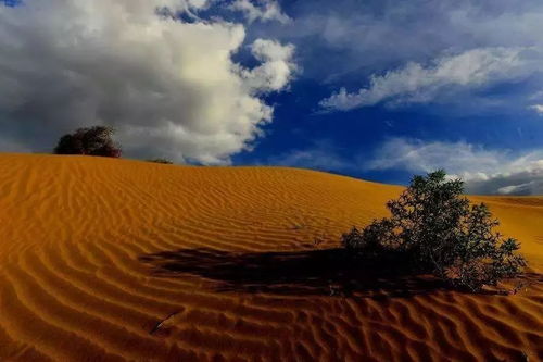 塞上古詩(shī)句