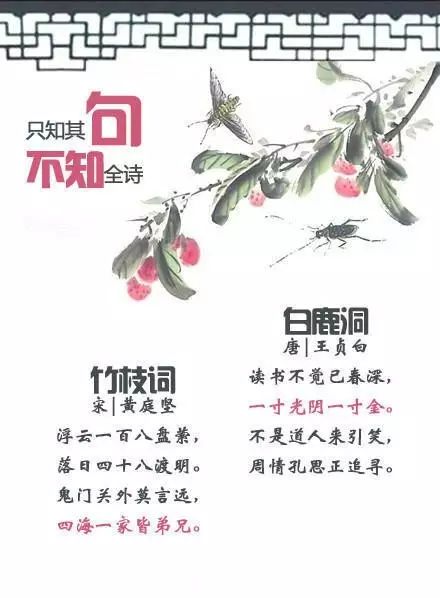 煙酒的古詩句子