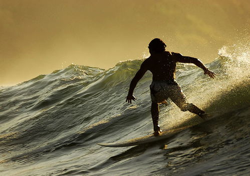 關(guān)于命運(yùn)的著名詩句